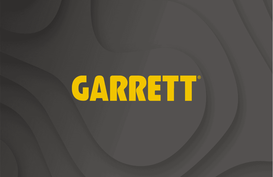  Can Metal Detectors Detect Gold?