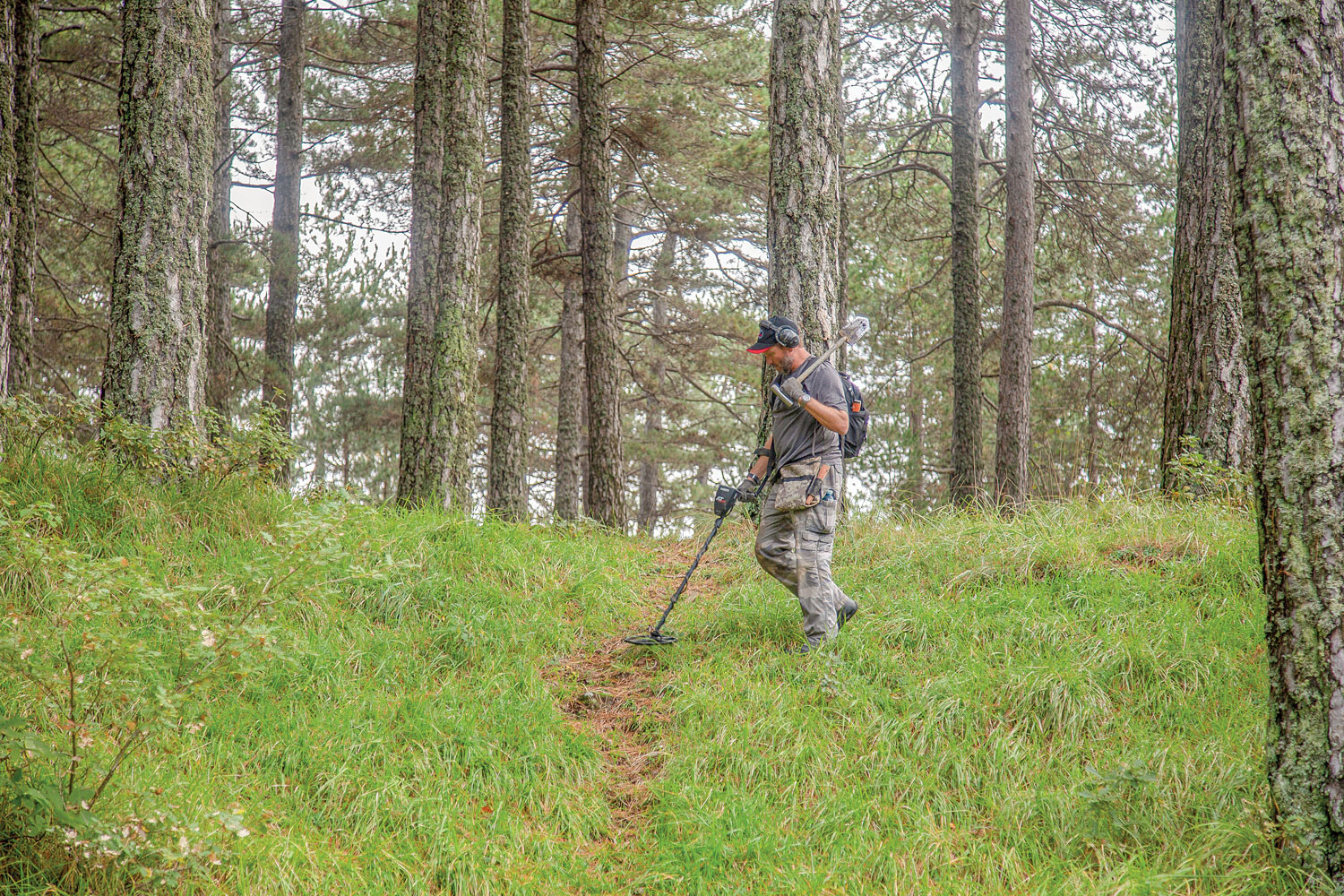 Is Metal Detecting Allowed in National Forests? Restrictions, Regulations & Usage Guidelines