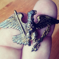 Épingle à chapeau d’un aigle avec croix gammée de 1938, trouvée par Rafal S. avec l’ACE 200i