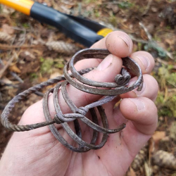 Joyería y brazalete de plata para cabello de la Edad de Hierro, encontrado por Michael F.