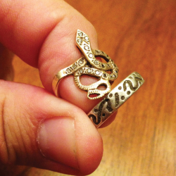 0,925 Silberring und ein 10-Karat-Goldring mit einer Schlange mit Diamanten, am gleichen Tag von Ruben G. gefunden.