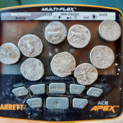 100-220 B.C. silver coins found by Abrudan