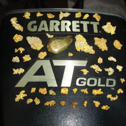 23 grammes de pépites d’or trouvées par Luke A
